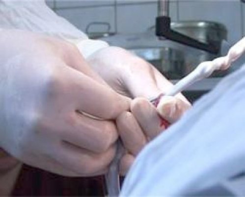 Potenţialul de utilizare a sângelui placentar, puţin cunoscut în România